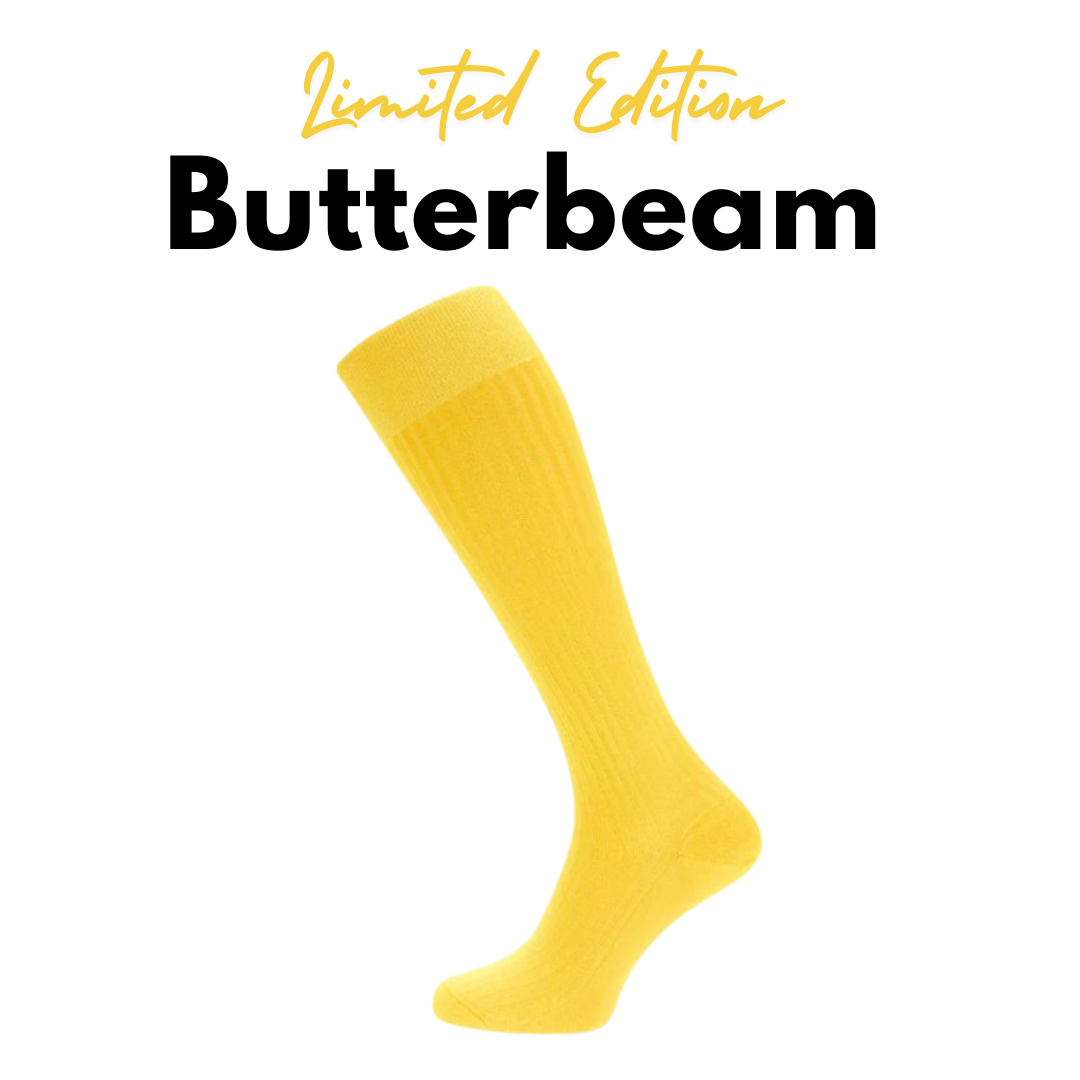 Butterbeam [Limited Edition]